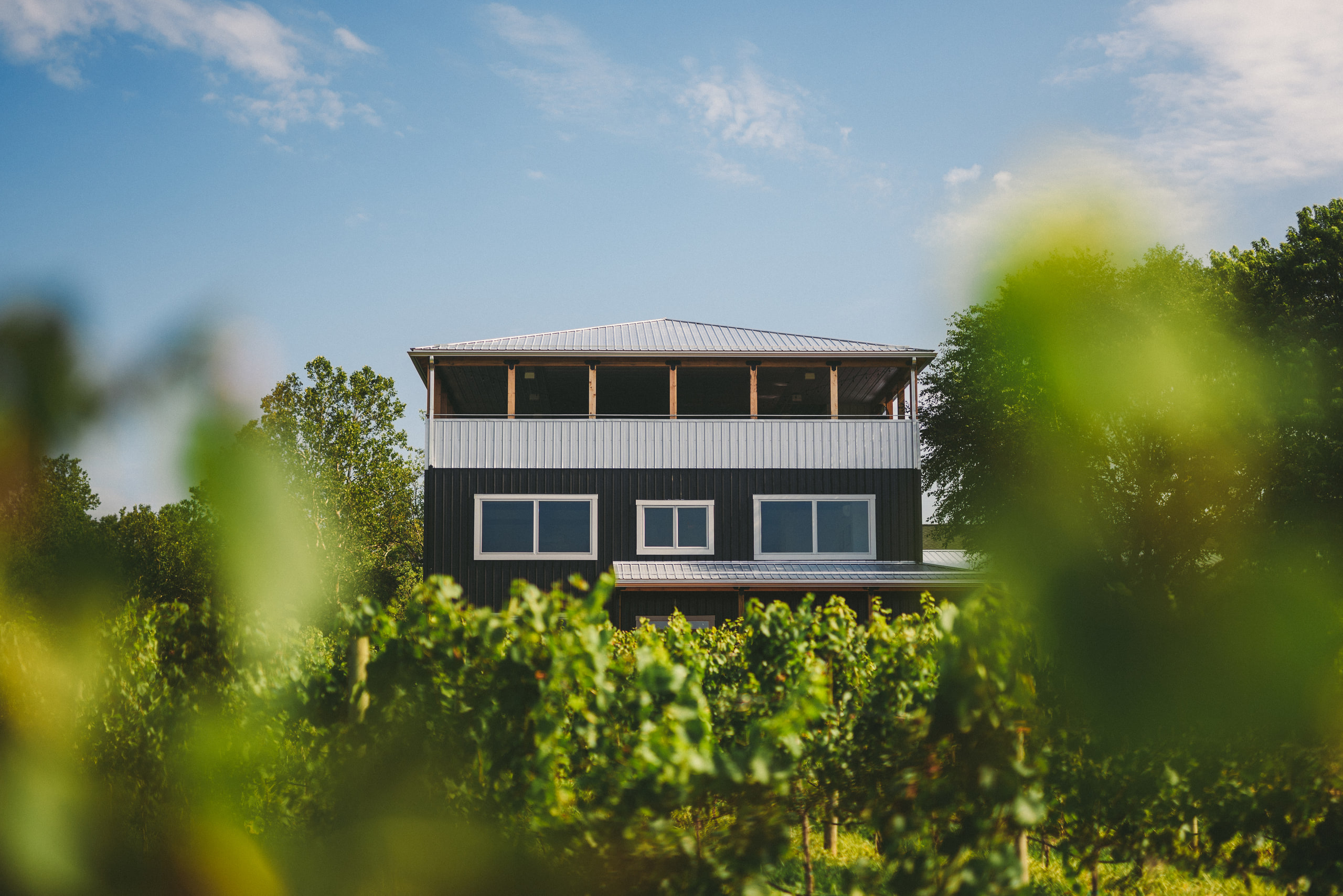 Winery exterior seen through vines.