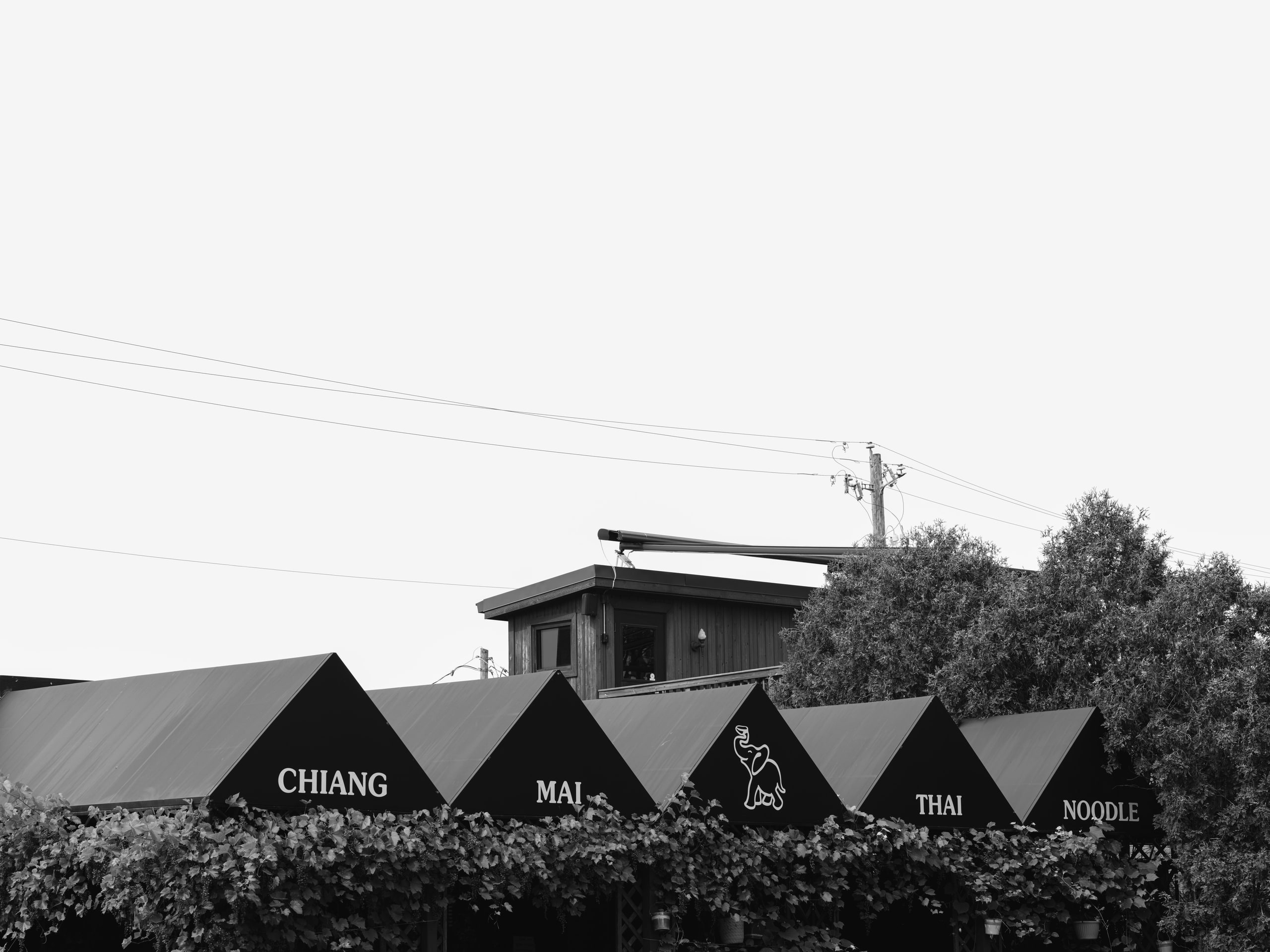B&w rooftops, line of buildings.