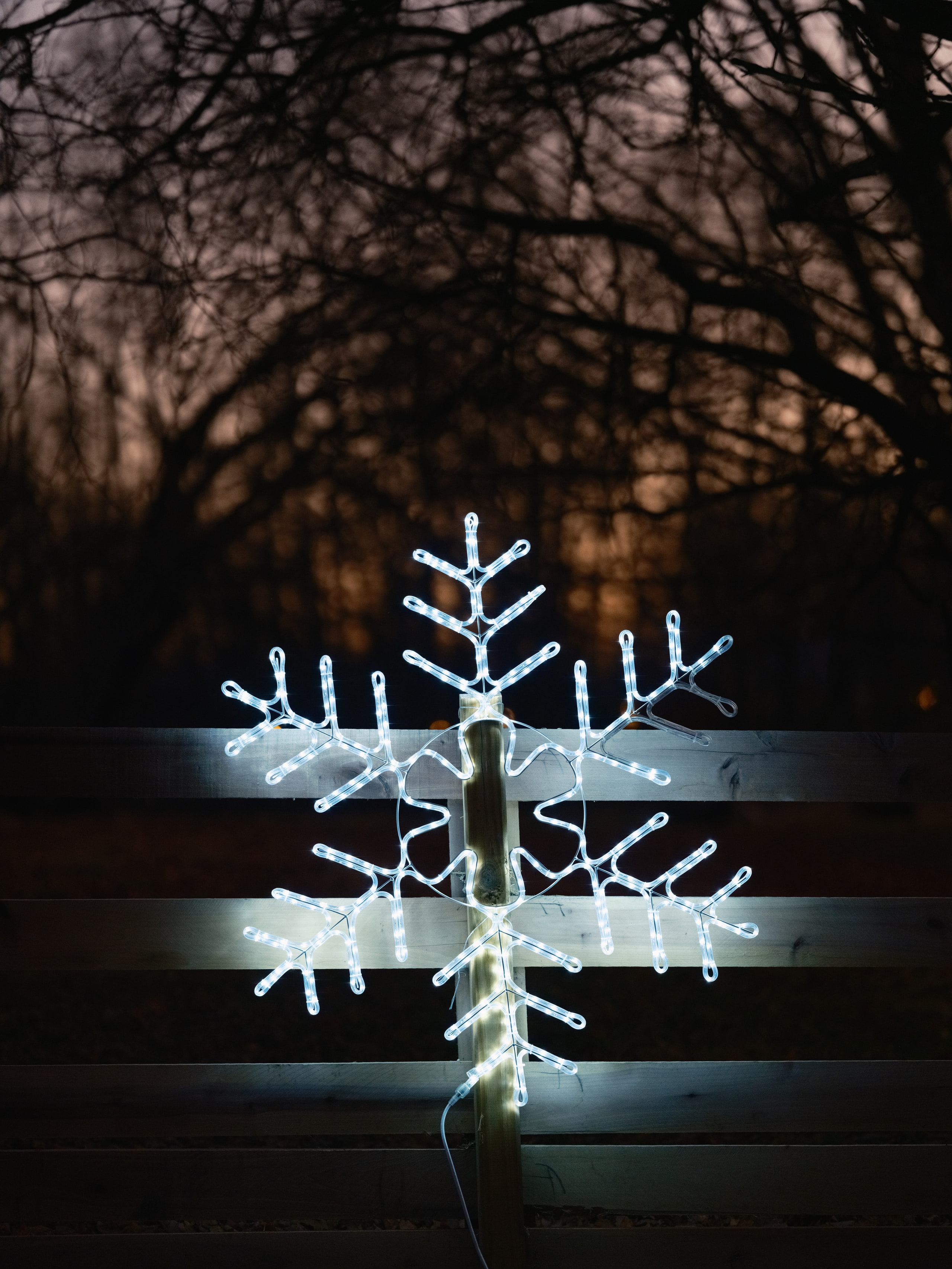 A white snowflake light against black, graphic.