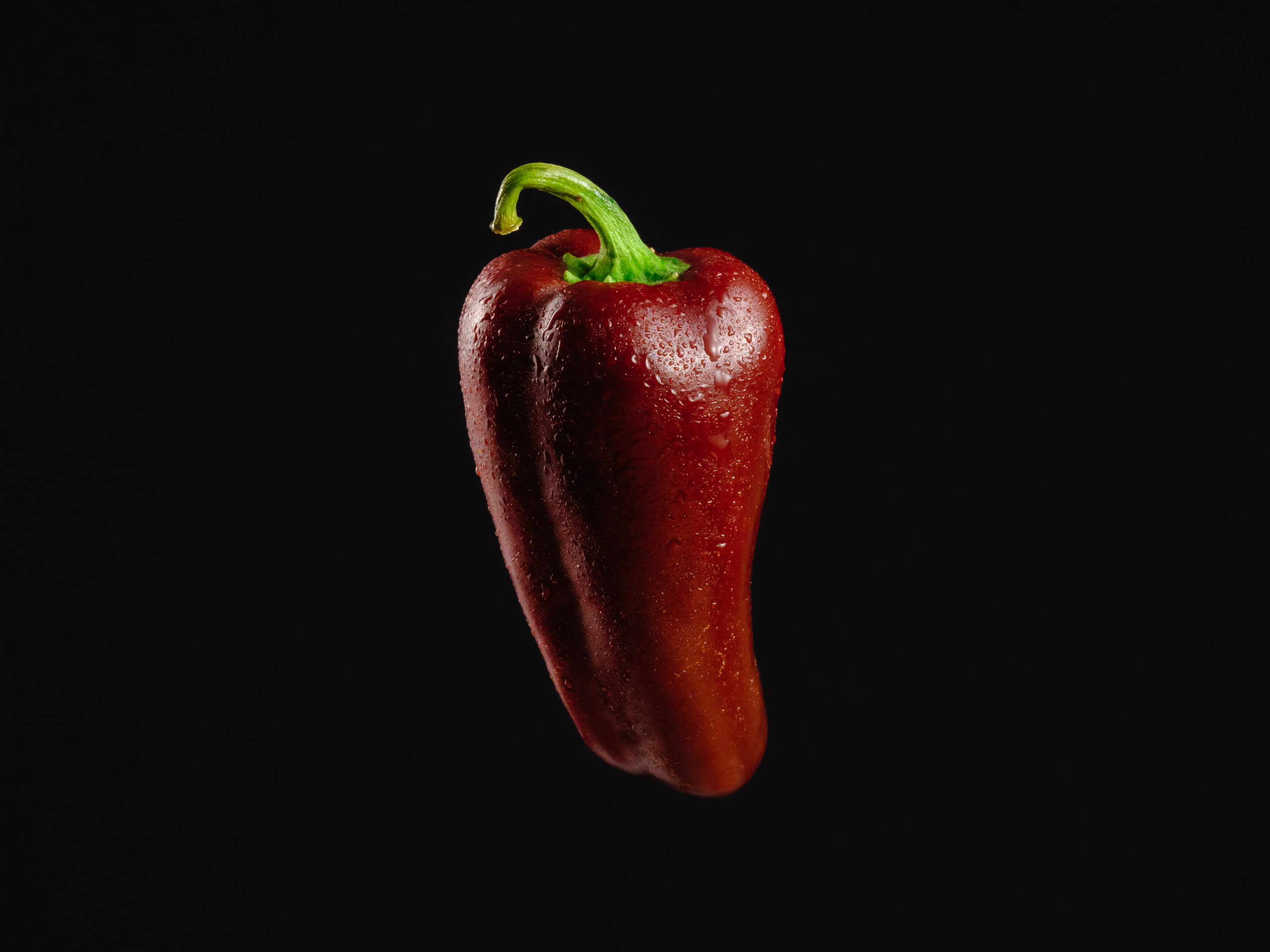 Red pepper on black, product, pure shape.