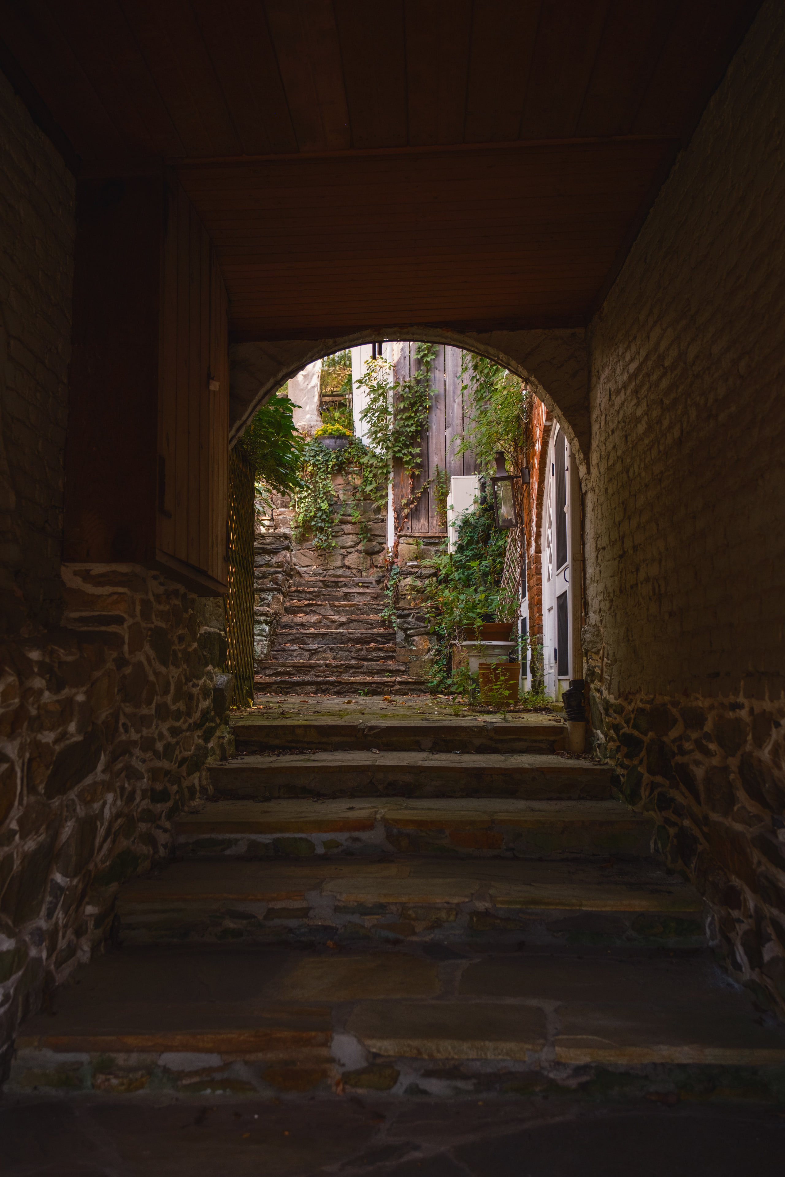 A dark stone passageway opening onto old stone steps and green plants in the village of Waterford, Virginia.