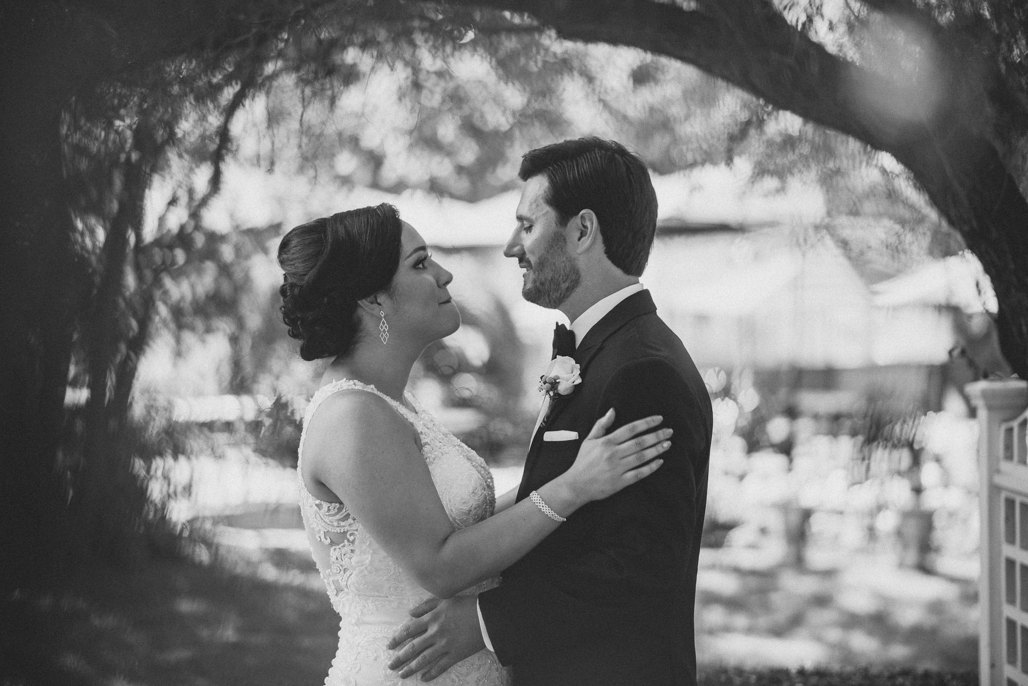 A bride and groom in black and white, looking at each other closely beneath the arch of a tree